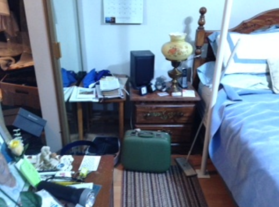 Cluttered bedroom with furniture and globe before